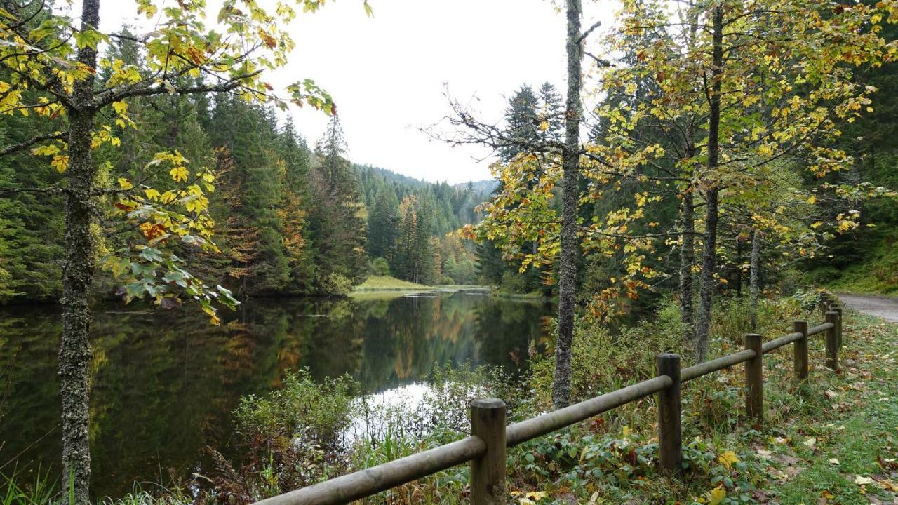 Apartamento Les Prairies Du Lac Gérardmer Exterior foto